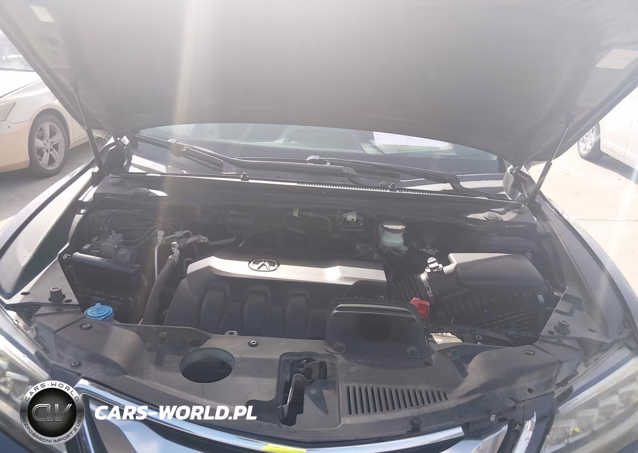 2016 Acura Rdx VIN:5J8TB3H58GL012299 - 10