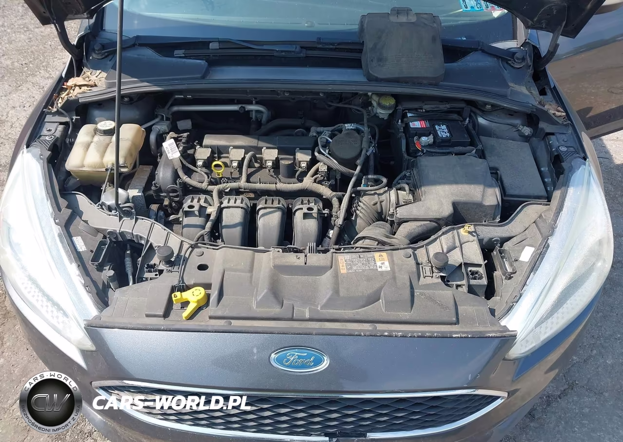 2016 Ford Focus Se VIN:1FADP3F26GL248646 - 10
