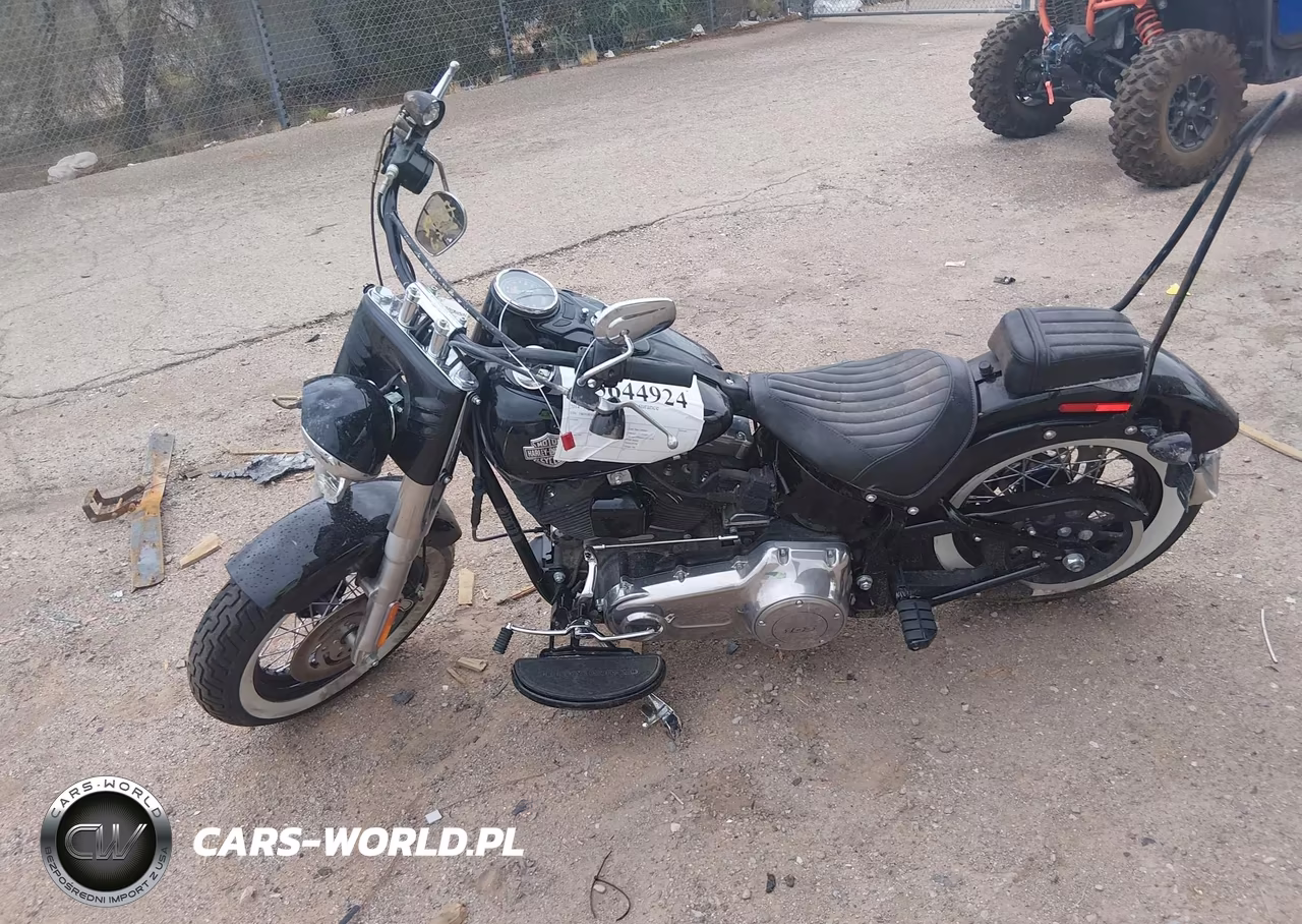 2014 Harley-Davidson Fls Softail Slim VIN:1HD1JRV13EB053695 - 11