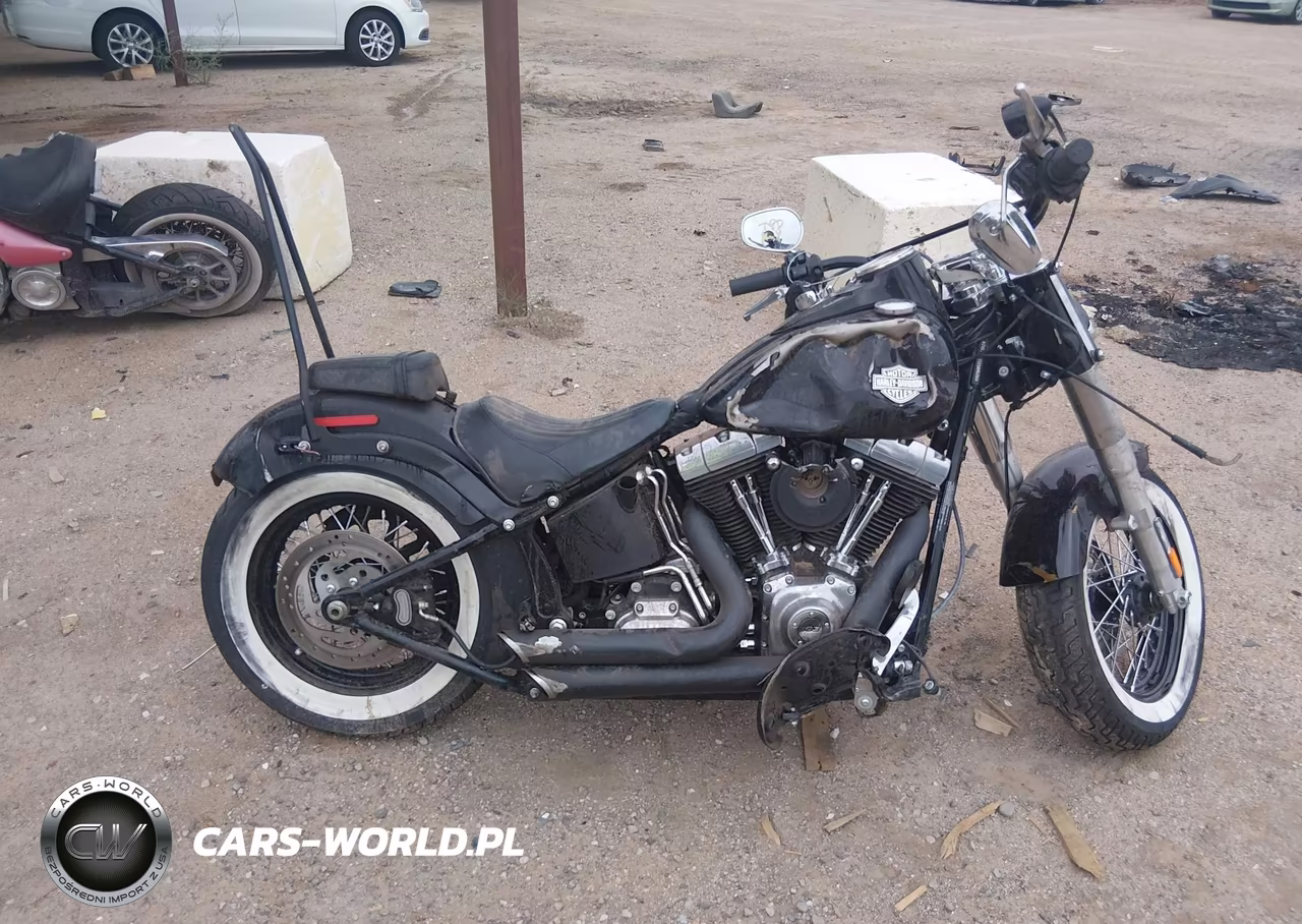2014 Harley-Davidson Fls Softail Slim VIN:1HD1JRV13EB053695 - 12