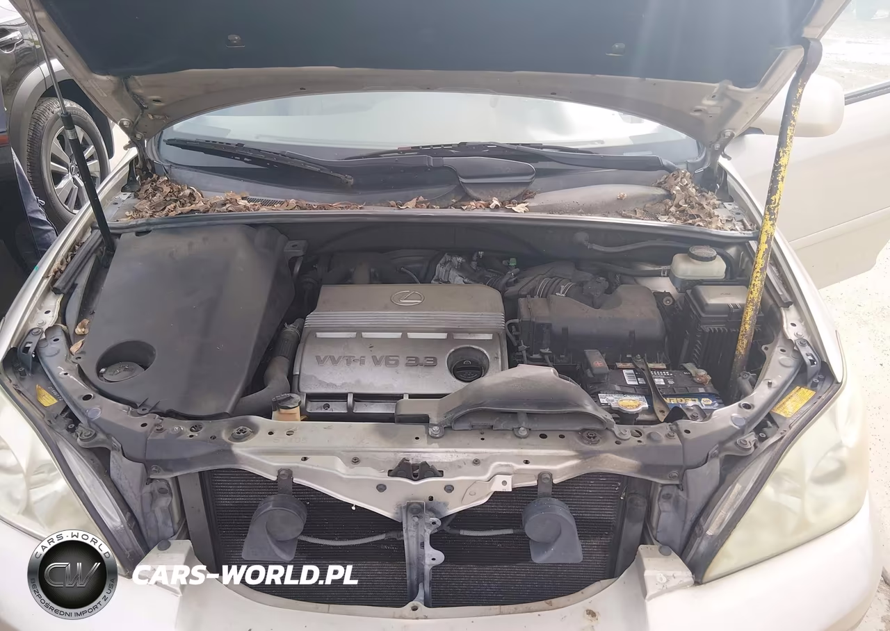 2004 Lexus Rx 330 VIN:JTJGA31U340030935 - 10