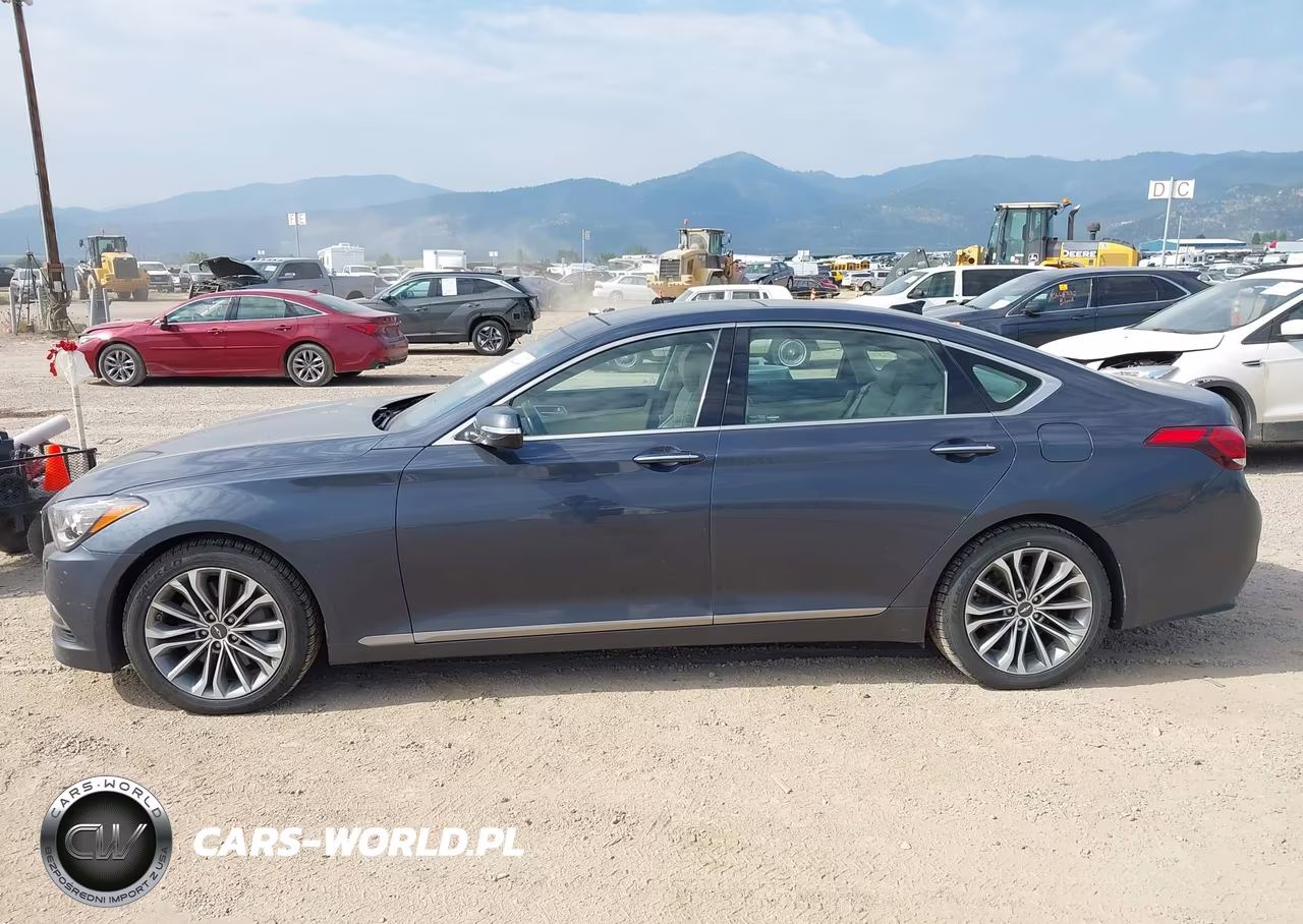 2017 Genesis G80 3.8 VIN:KMHGN4JE2HU176422 - 14