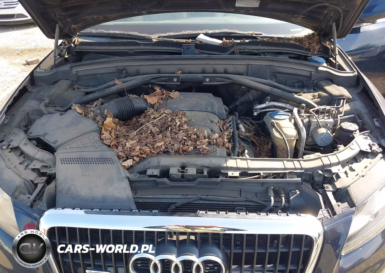 2010 Audi Q5 3.2 Premium VIN:WA1CKAFP3AA031377 - 10