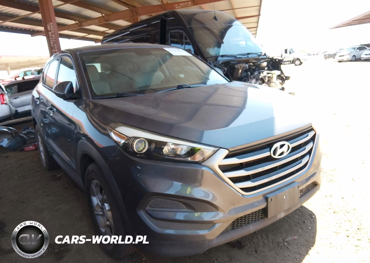 2018 Hyundai Tucson Se VIN:KM8J2CA40JU824295 - 19