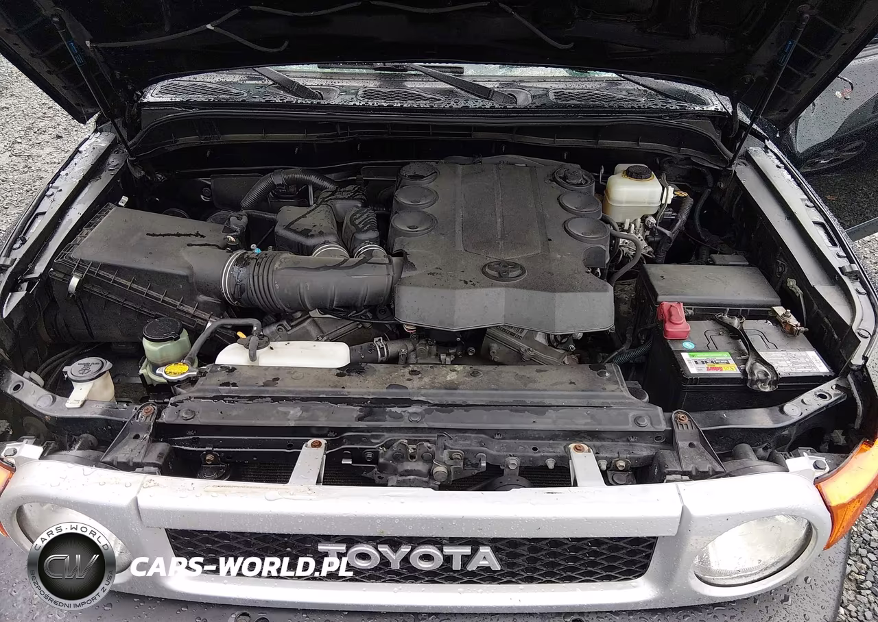 2010 Toyota Fj Cruiser VIN:JTEBU4BF3AK073838 - 10