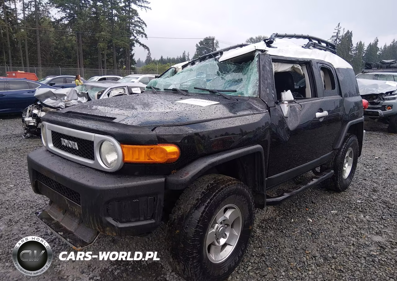 2010 Toyota Fj Cruiser VIN:JTEBU4BF3AK073838 - 2