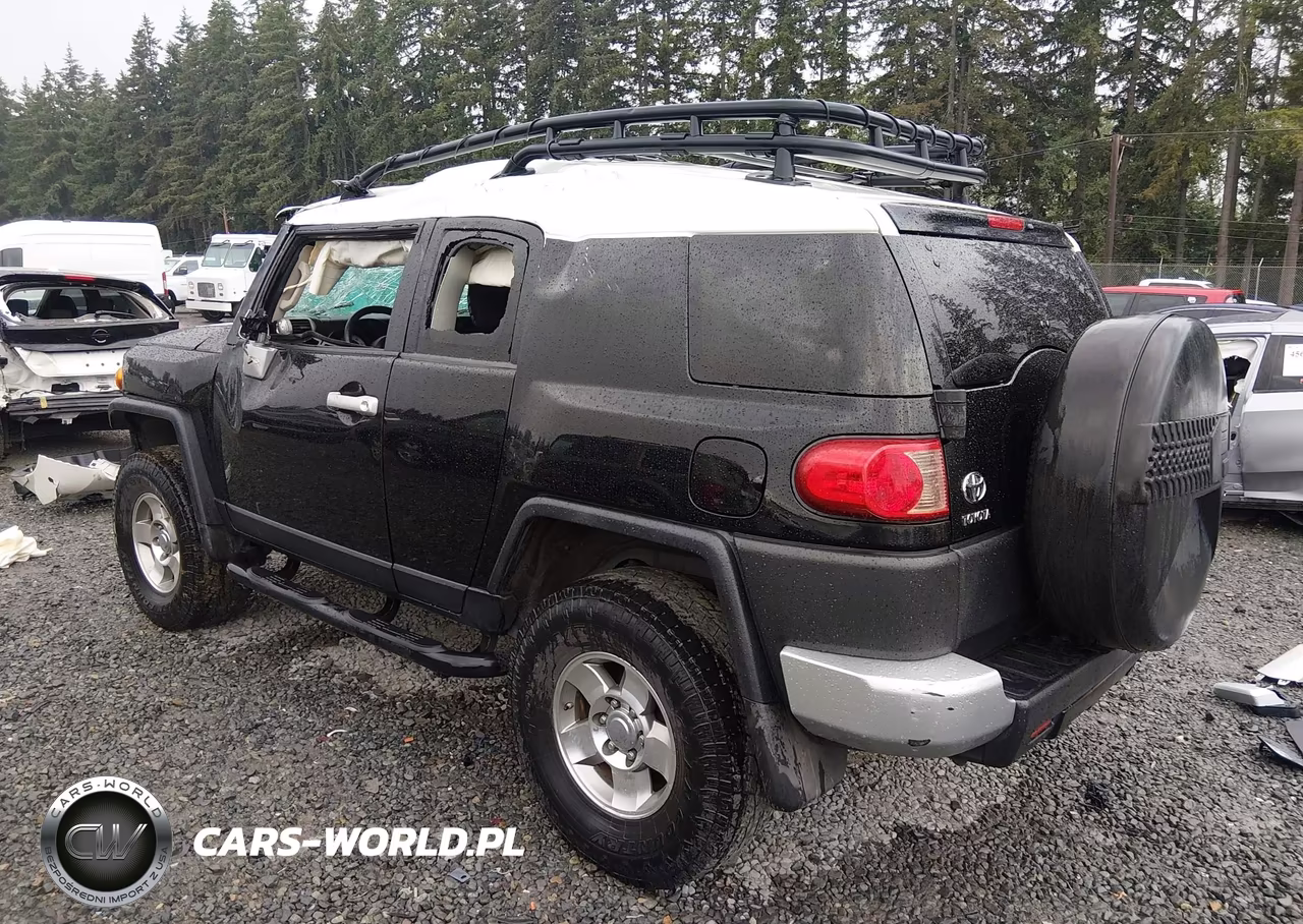 2010 Toyota Fj Cruiser VIN:JTEBU4BF3AK073838 - 3