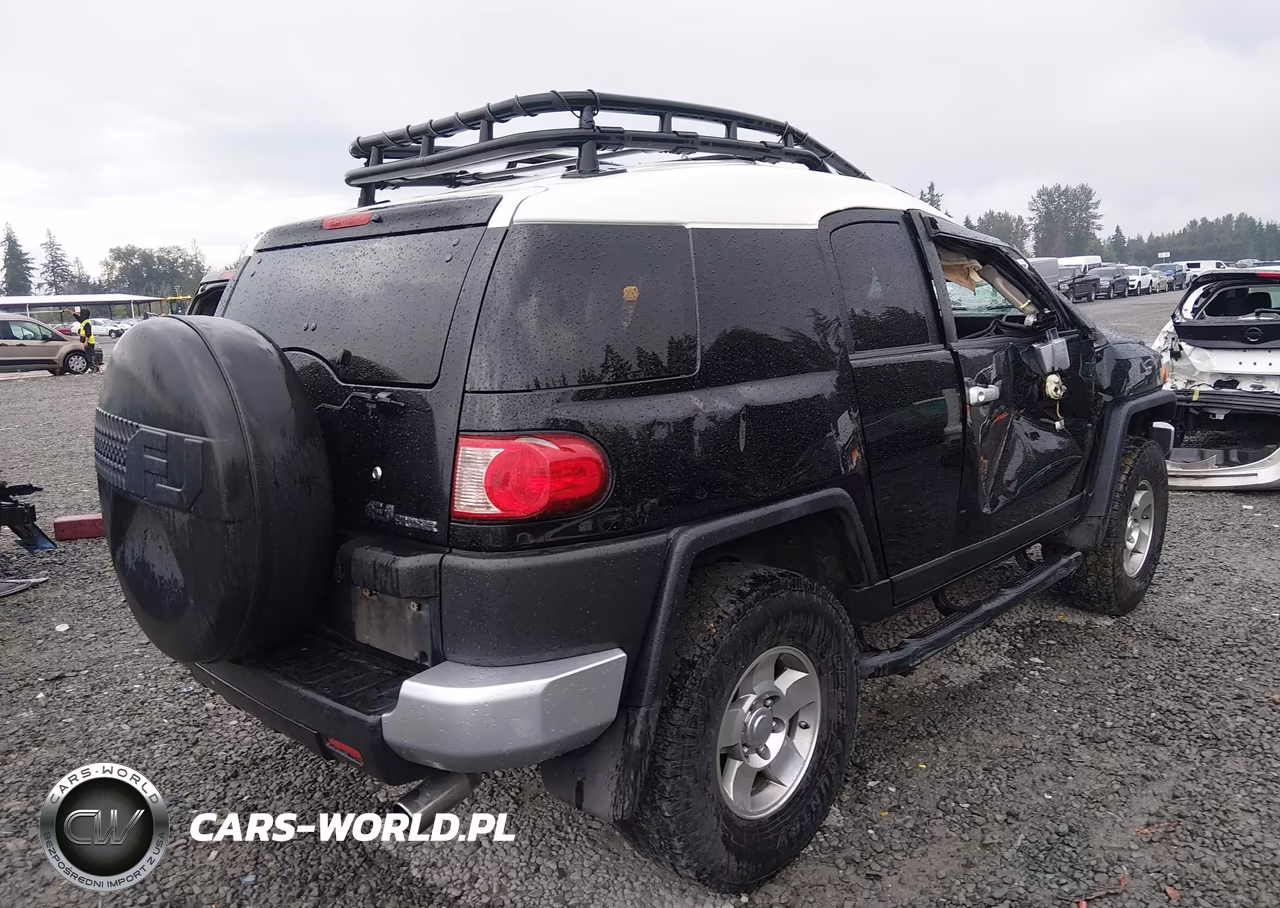 2010 Toyota Fj Cruiser VIN:JTEBU4BF3AK073838 - 4