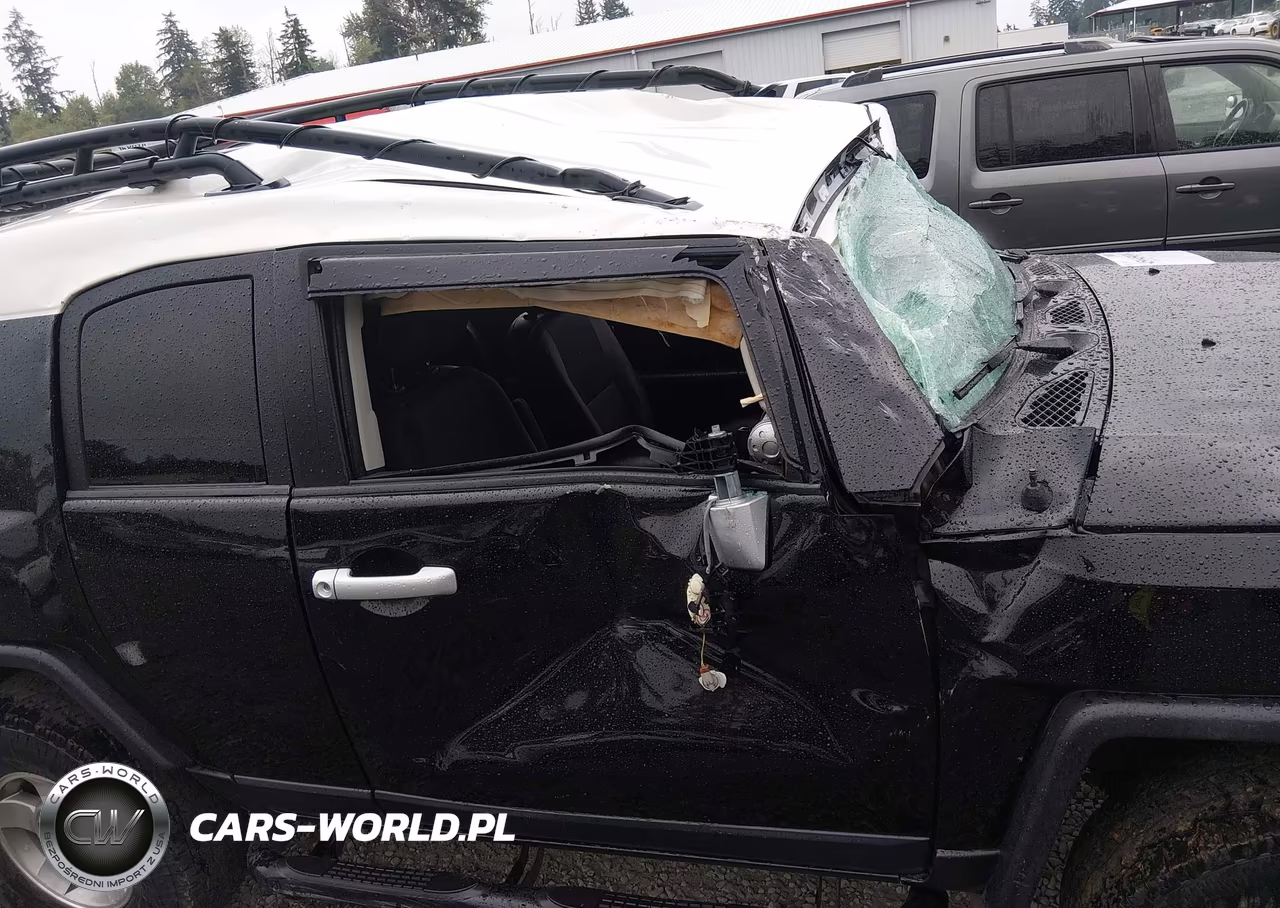 2010 Toyota Fj Cruiser VIN:JTEBU4BF3AK073838 - 6
