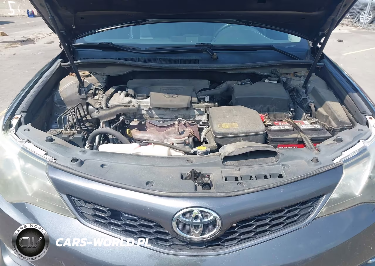 2013 Toyota Camry Se VIN:4T1BF1FK9DU216834 - 10