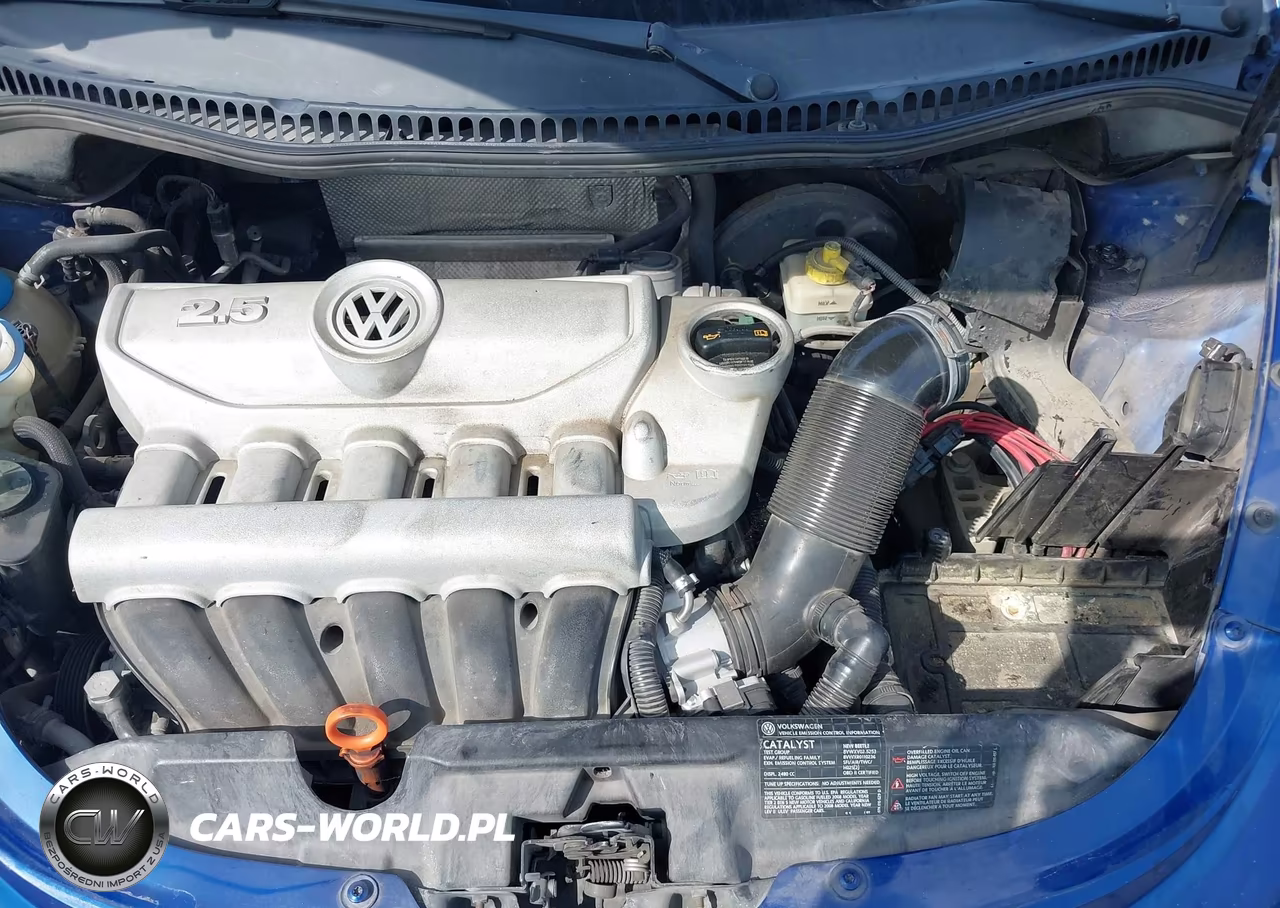 2008 Volkswagen New Beetle S VIN:3VWPW31C78M513906 - 10