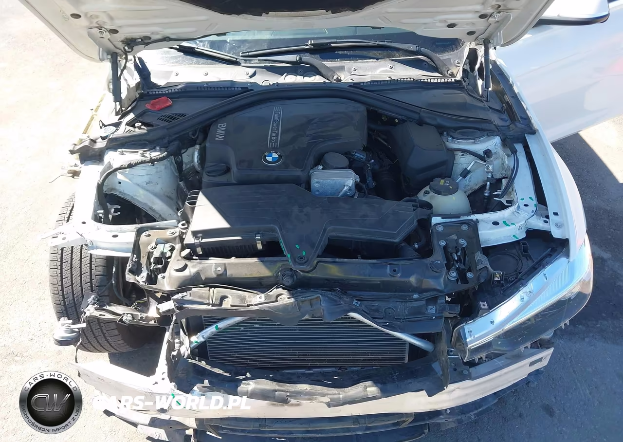 2017 BMW 320I VIN:WBA8E1G36HNU18603 - 10