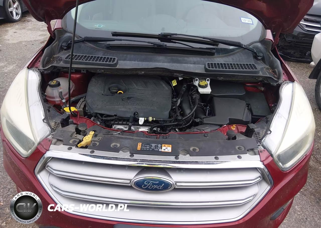 2017 Ford Escape Se VIN:1FMCU0GD7HUF07360 - 10