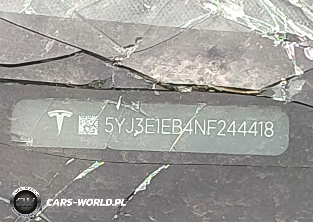 2022 Tesla Model 3 Long Range Dual Motor All-Wheel Drive VIN:5YJ3E1EB4NF244418 - 9