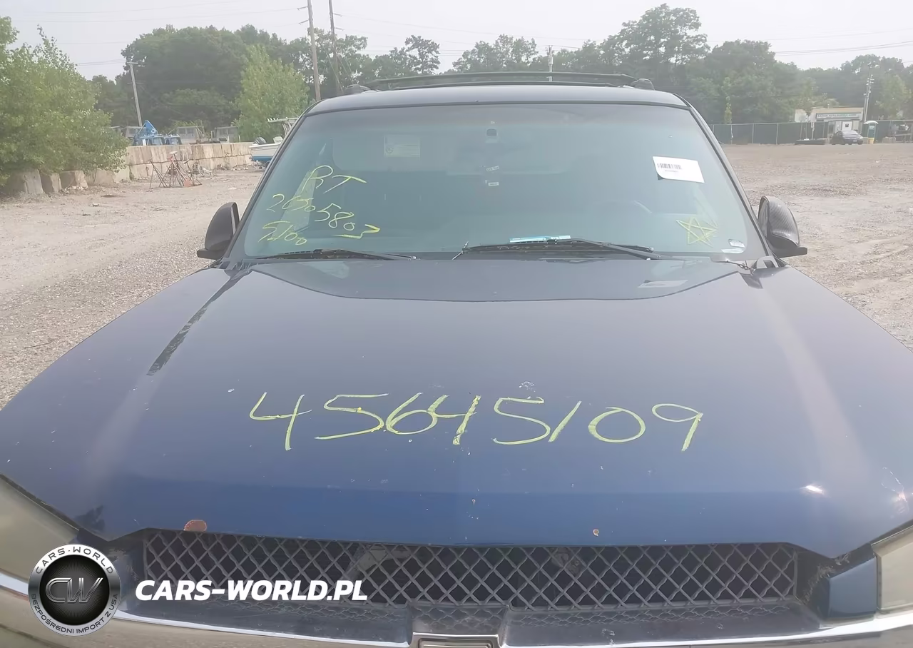 2002 Chevrolet Avalanche 1500 VIN:3GNEK13T52G133564 - 10