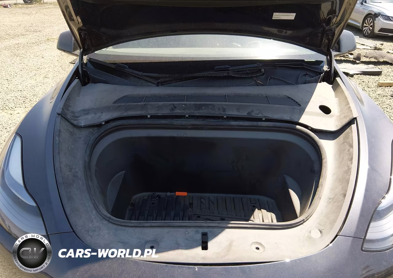 2024 Tesla Model Y Long Range Dual Motor All-Wheel Drive VIN:7SAYGDEE8RF194384 - 10