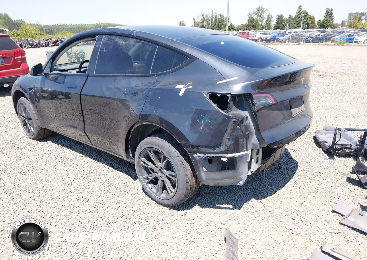 2024 Tesla Model Y Long Range Dual Motor All-Wheel Drive VIN:7SAYGDEE8RF194384 - 3