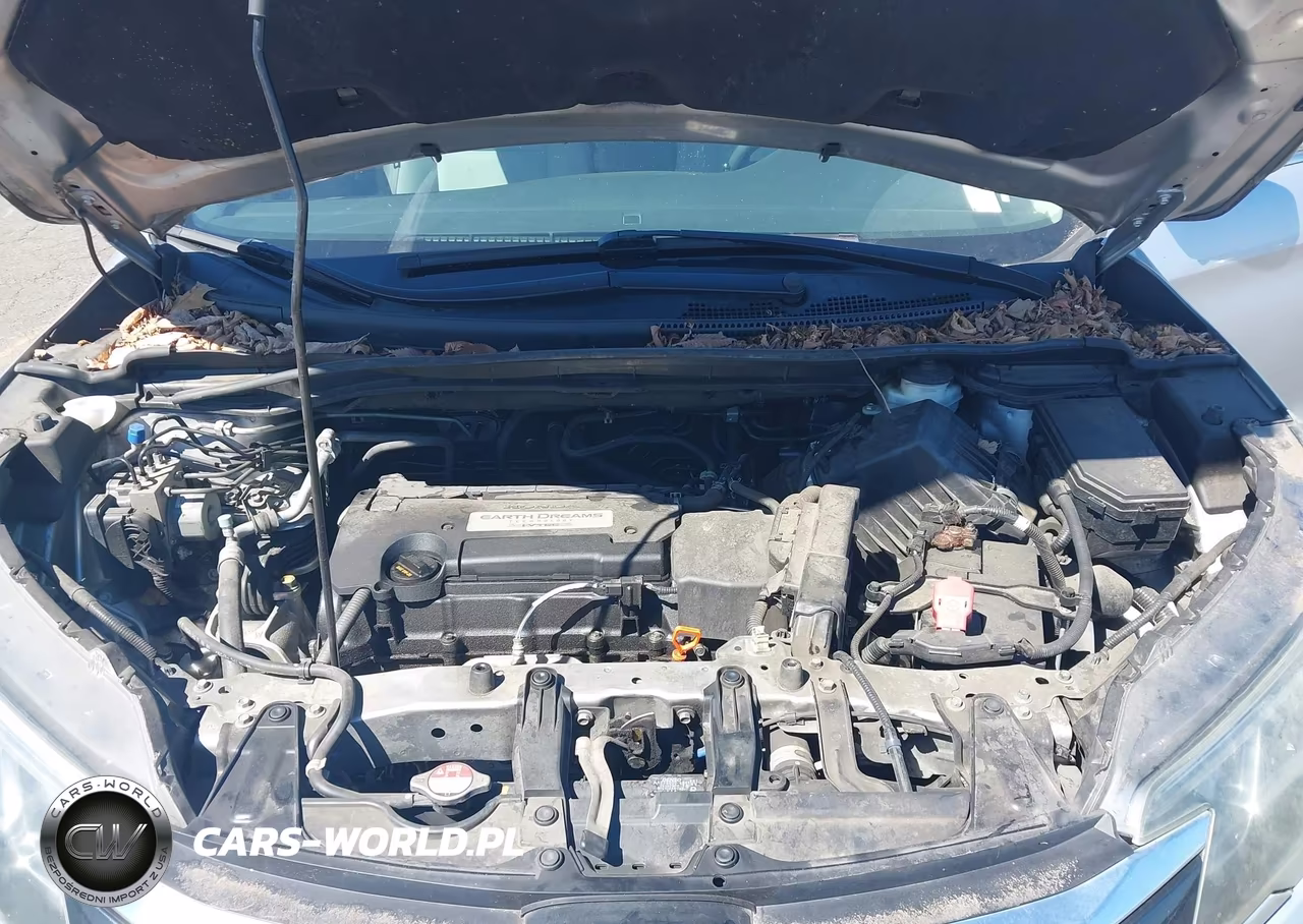 2015 Honda Cr-V Lx VIN:3CZRM3H31FG701723 - 10