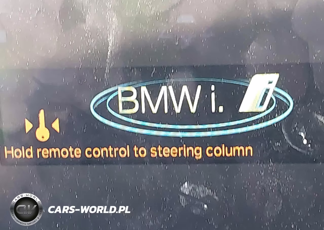 2014 BMW I3 VIN:WBY1Z2C53EV286108 - 13