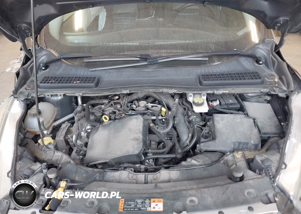 2019 Ford Escape Sel VIN:1FMCU0HD8KUC47637 - 10