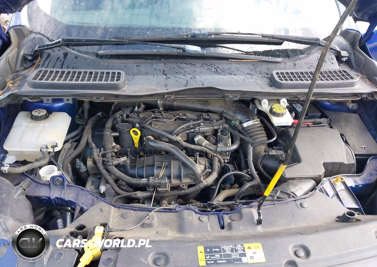 2013 Ford Escape Se VIN:1FMCU0GX0DUD83887 - 10