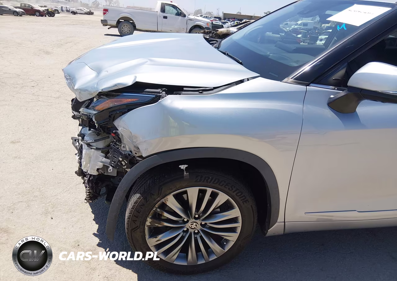 2020 Toyota Highlander Platinum VIN:5TDFZRAH8LS010270 - 17