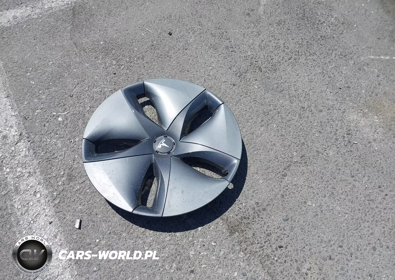 2019 Tesla Model 3 Long Range-Mid Range-Standard Range-Standard Range Plus VIN:5YJ3E1EA1KF302049 - 11