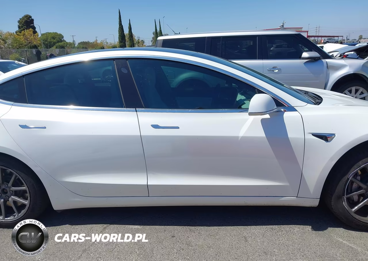 2019 Tesla Model 3 Long Range-Mid Range-Standard Range-Standard Range Plus VIN:5YJ3E1EA1KF302049 - 13