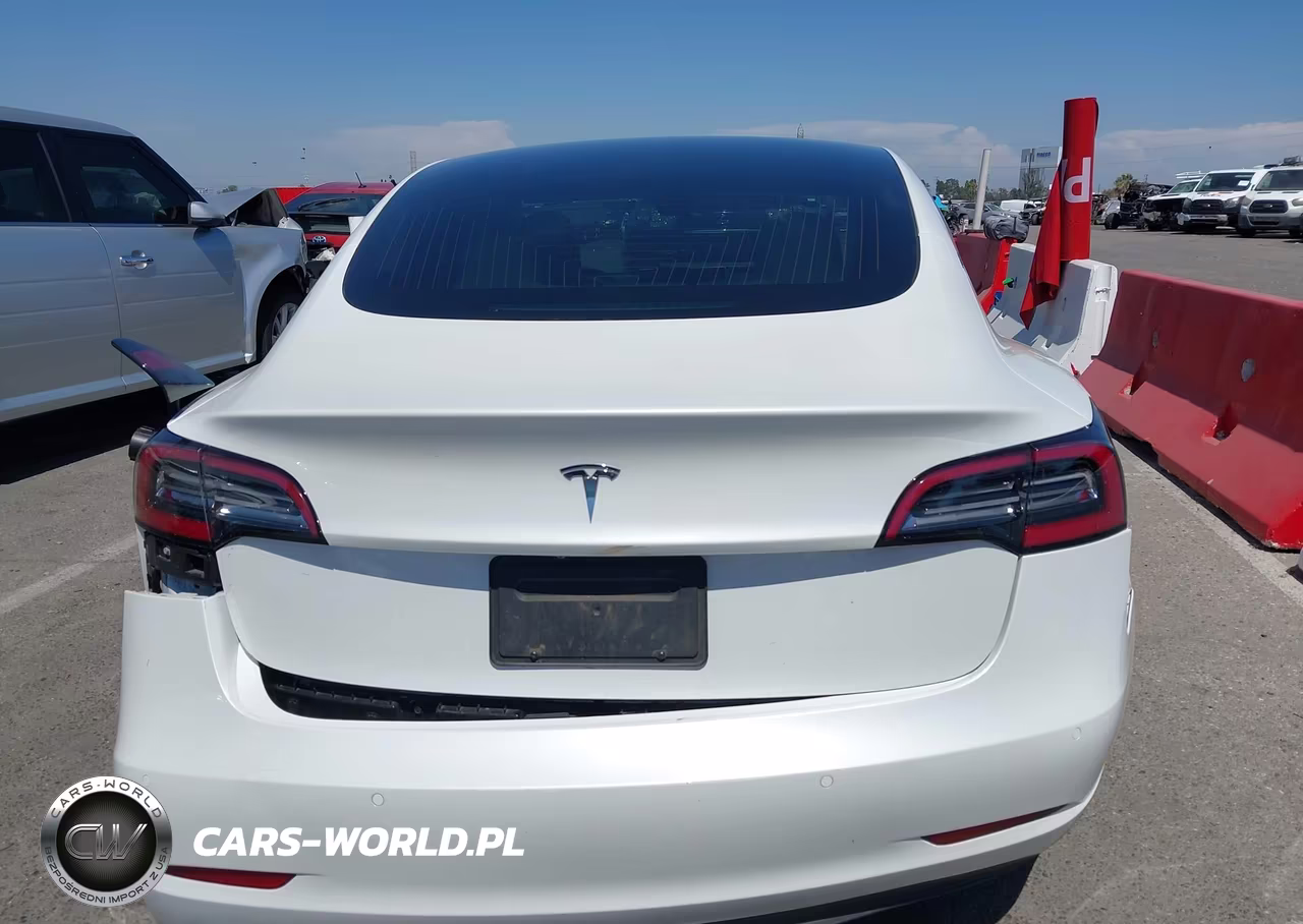 2019 Tesla Model 3 Long Range-Mid Range-Standard Range-Standard Range Plus VIN:5YJ3E1EA1KF302049 - 16