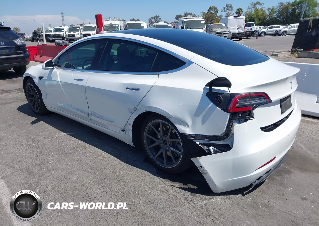 2019 Tesla Model 3 Long Range-Mid Range-Standard Range-Standard Range Plus VIN:5YJ3E1EA1KF302049 - 3