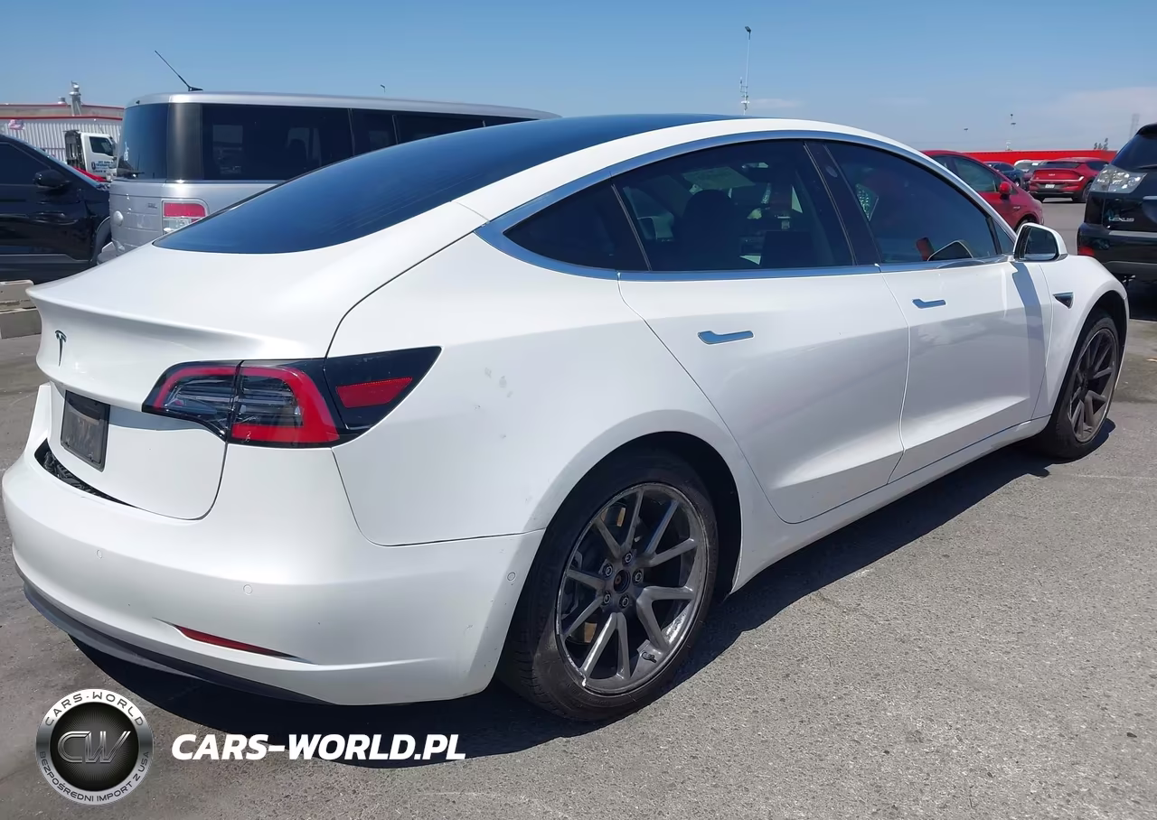 2019 Tesla Model 3 Long Range-Mid Range-Standard Range-Standard Range Plus VIN:5YJ3E1EA1KF302049 - 4