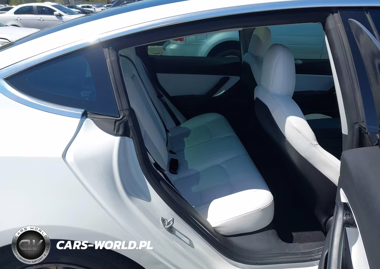 2019 Tesla Model 3 Long Range-Mid Range-Standard Range-Standard Range Plus VIN:5YJ3E1EA1KF302049 - 8