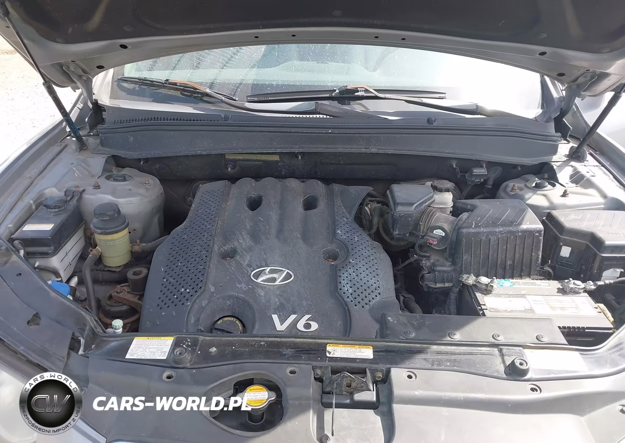 2007 Hyundai Santa Fe Gls VIN:5NMSG73D57H083382 - 10