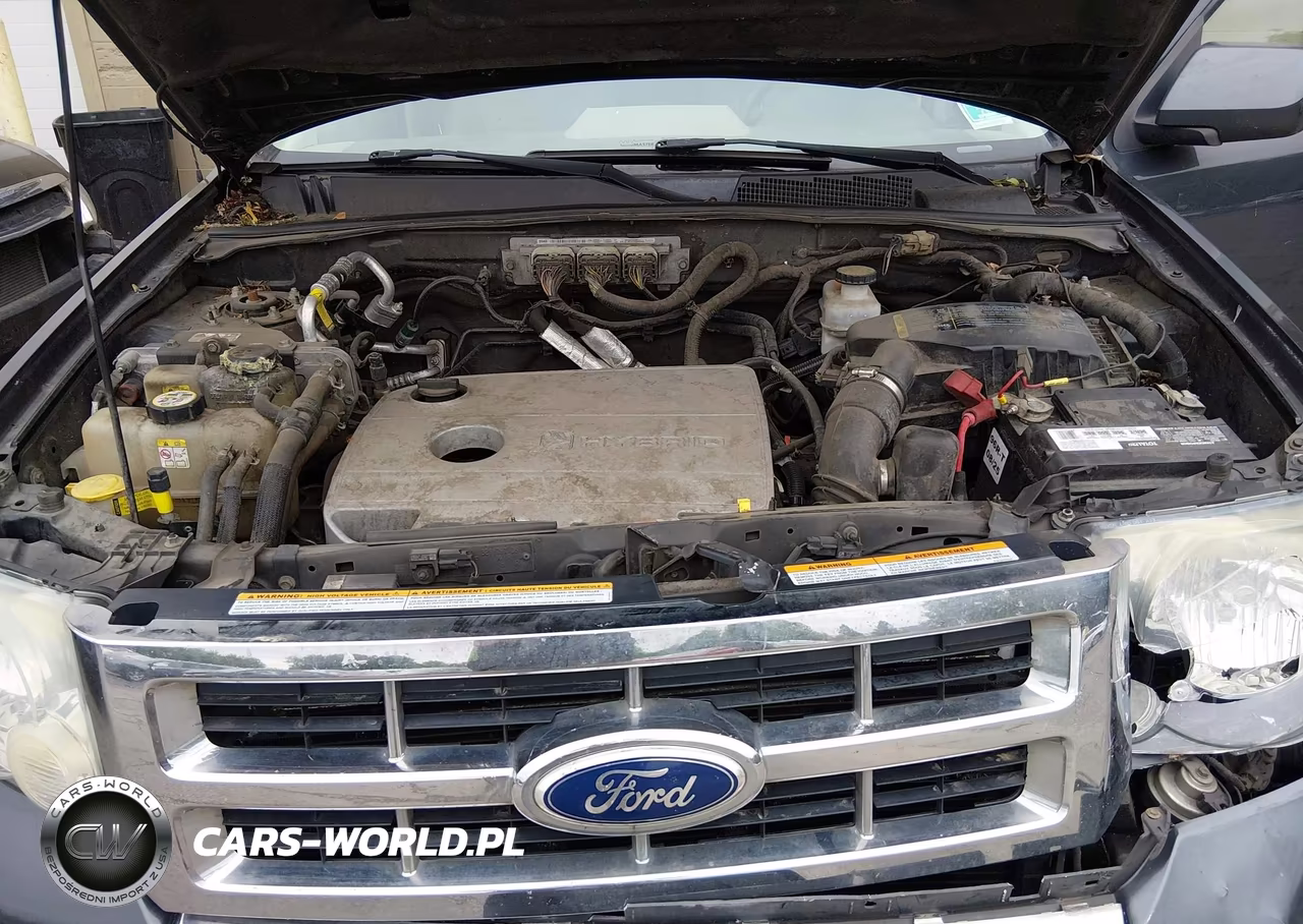 2010 Ford Escape Hybrid Limited VIN:1FMCU5K30AKB79681 - 10