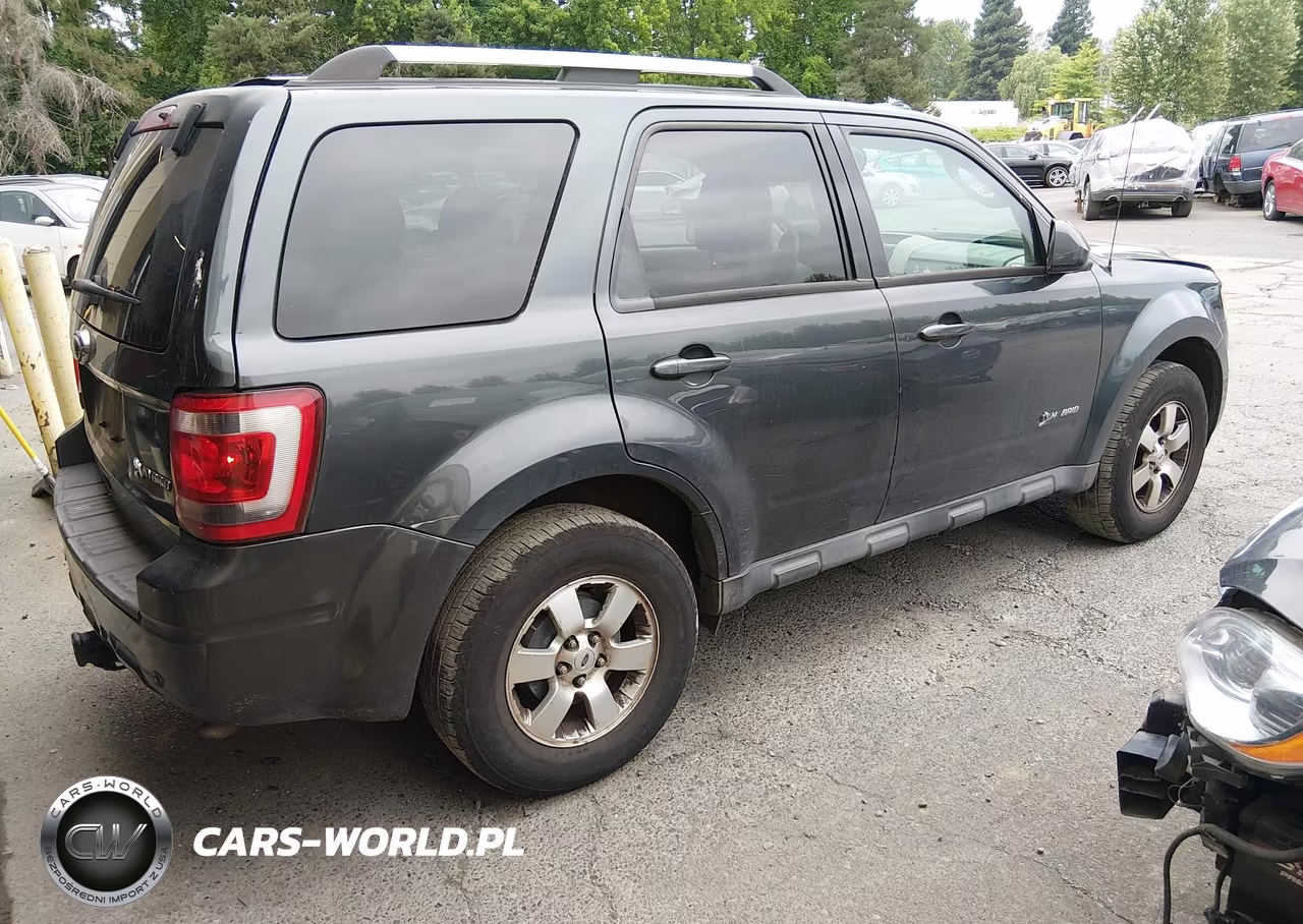 2010 Ford Escape Hybrid Limited VIN:1FMCU5K30AKB79681 - 4