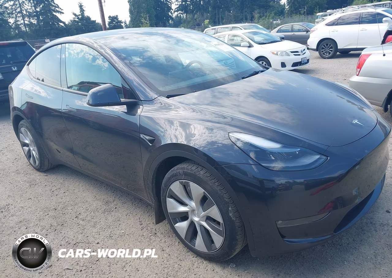 2024 Tesla Model Y Long Range Dual Motor All-Wheel Drive VIN:7SAYGAEE2RF064132 - 1