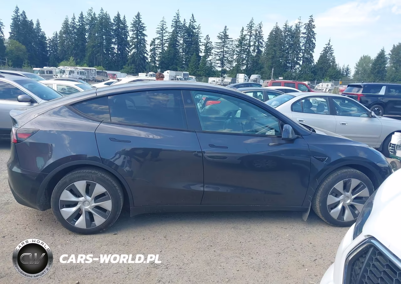 2024 Tesla Model Y Long Range Dual Motor All-Wheel Drive VIN:7SAYGAEE2RF064132 - 13