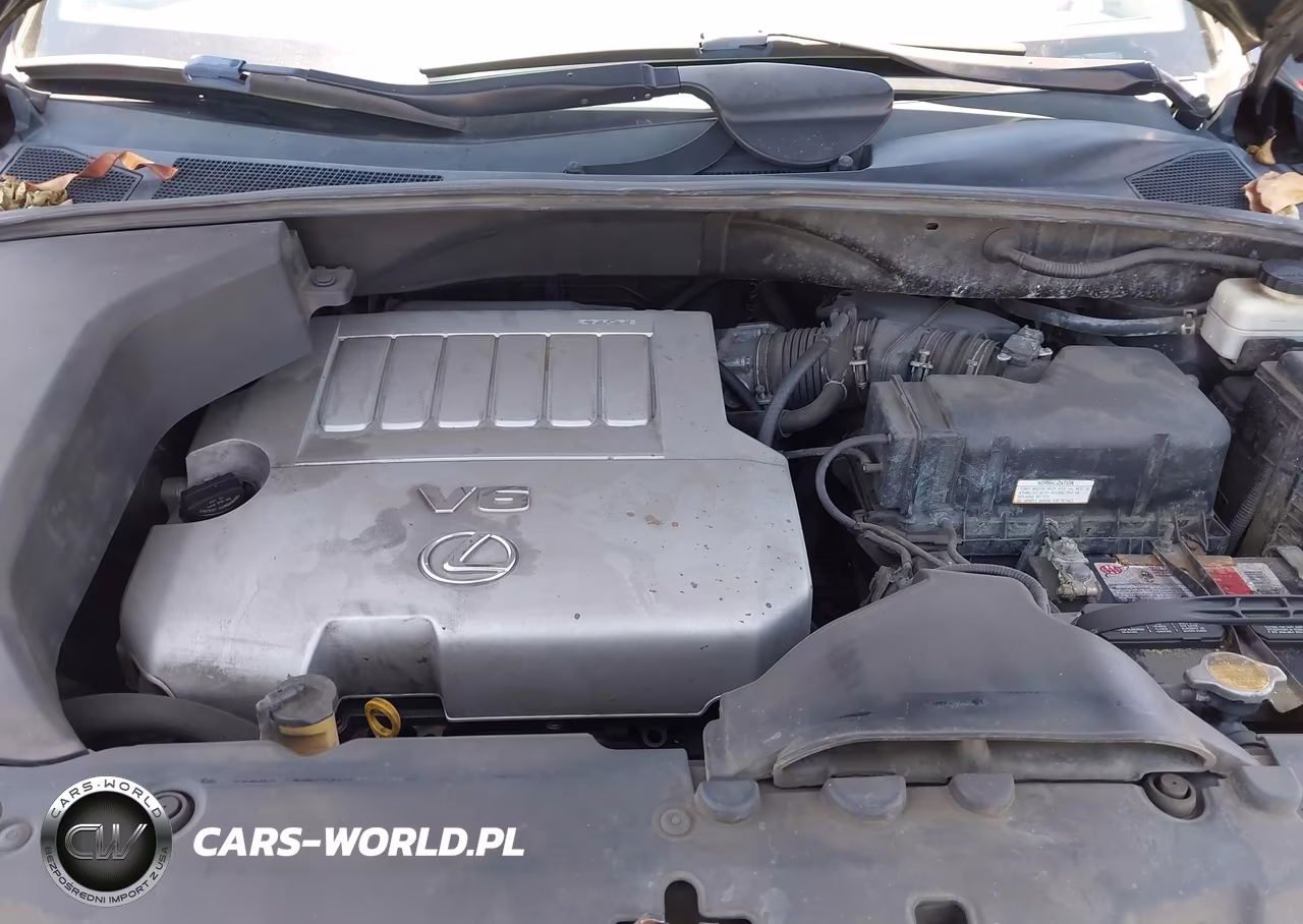2007 Lexus Rx 350 VIN:2T2GK31U27C003019 - 10