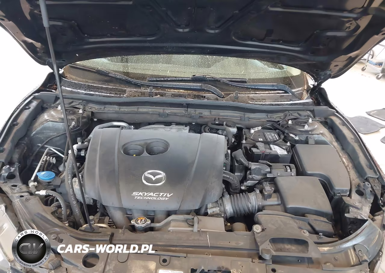 2015 Mazda Mazda3 I Sport VIN:JM1BM1U75F1233997 - 10