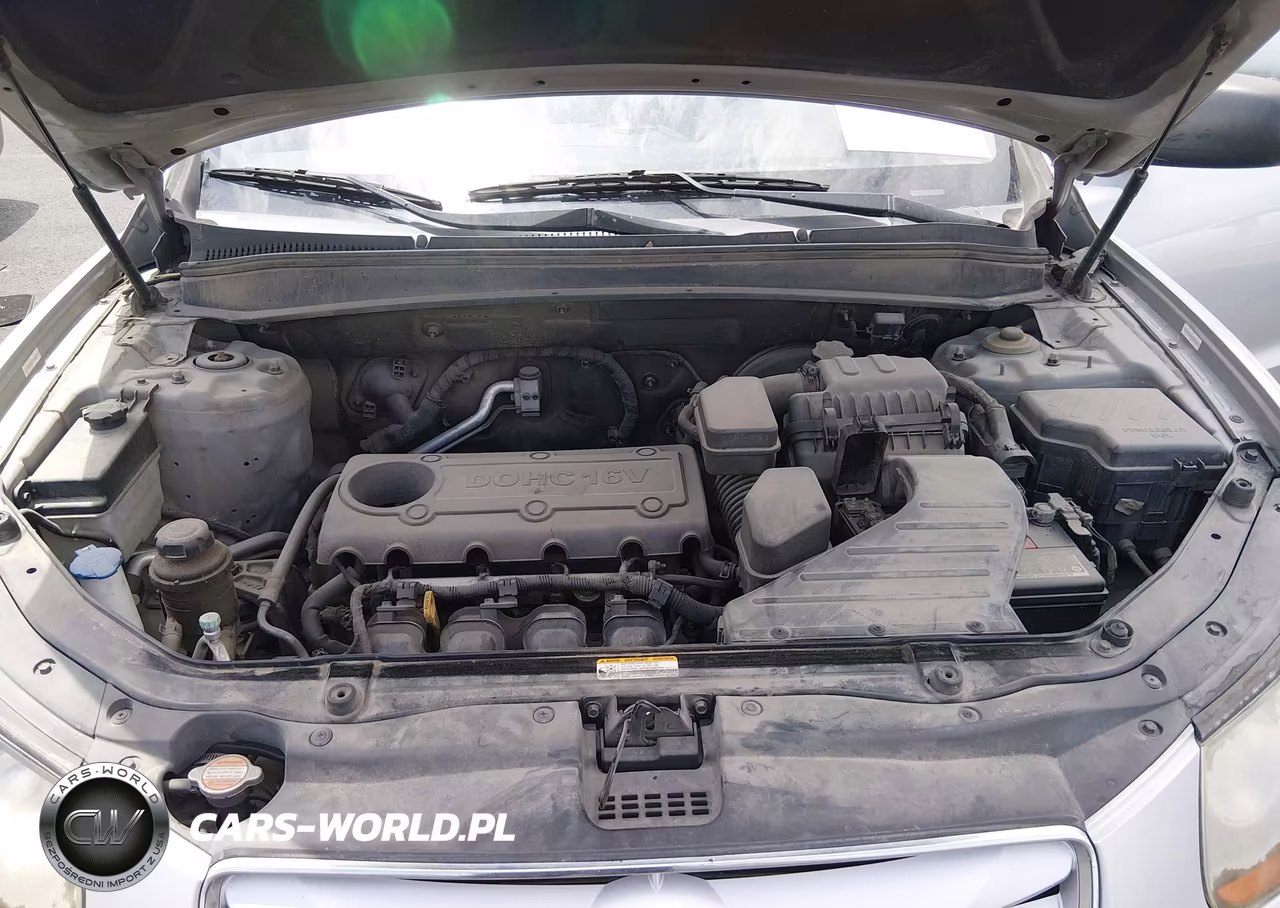 2010 Hyundai Santa Fe Gls VIN:5NMSGDAB2AH349772 - 10