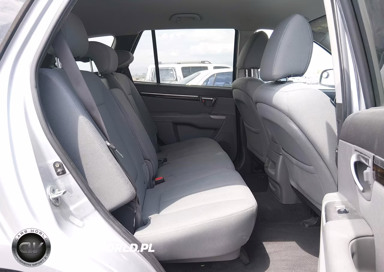 2010 Hyundai Santa Fe Gls VIN:5NMSGDAB2AH349772 - 8