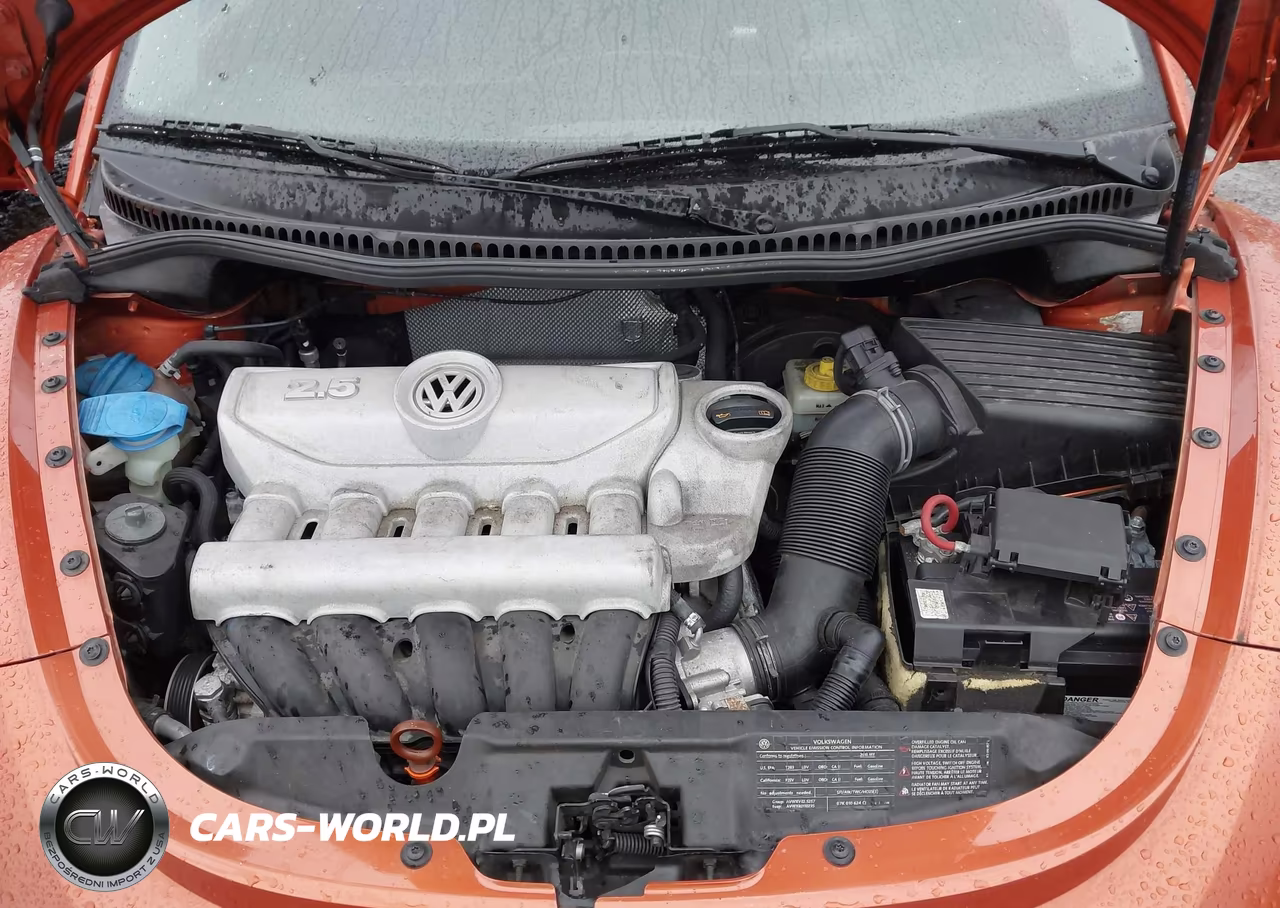 2010 Volkswagen New Beetle 2.5L Red Rock Edition VIN:3VWPG3AG0AM016590 - 10