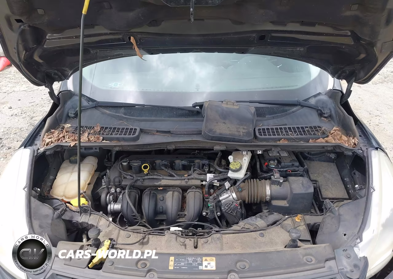 2014 Ford Escape S VIN:1FMCU0F7XEUB22219 - 10