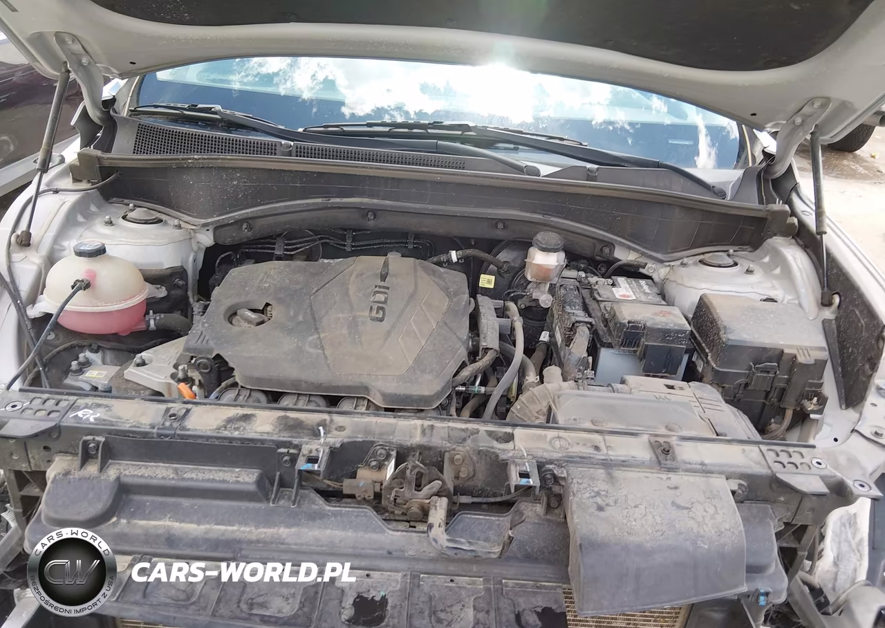 2021 Hyundai Santa Fe Se VIN:5NMS1DAJ1MH322902 - 10