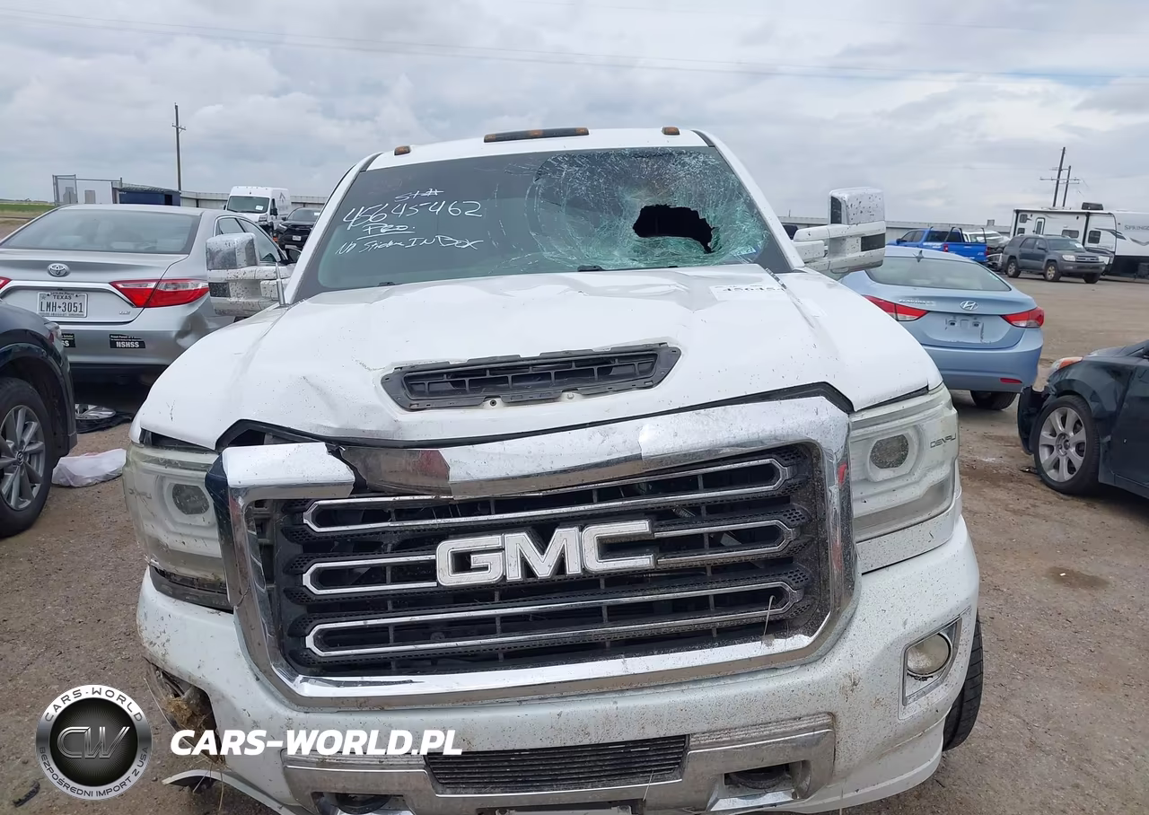 2018 GMC Sierra 2500Hd VIN:1GT12REY1JF165393 - 12