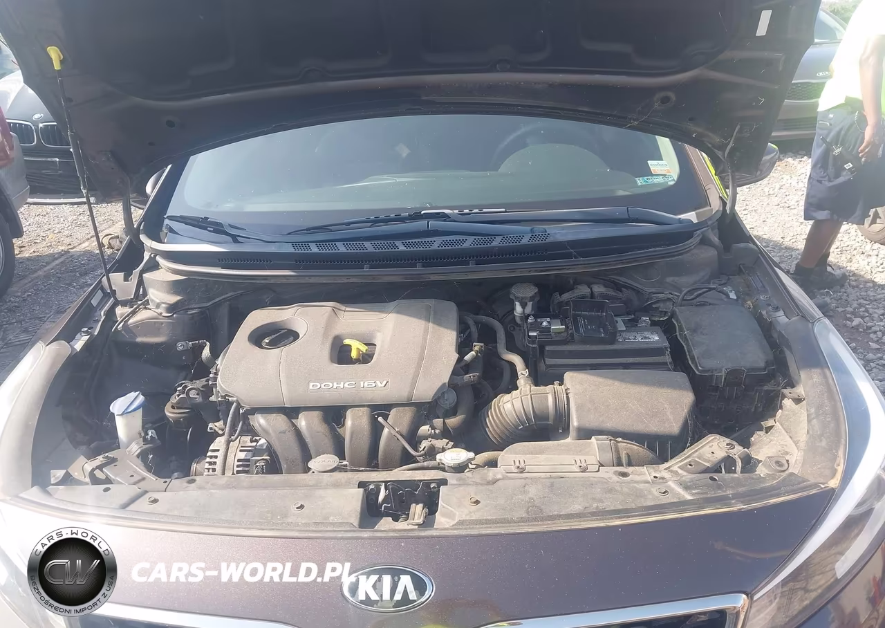 2017 Kia Forte Lx VIN:3KPFK4A77HE099216 - 10