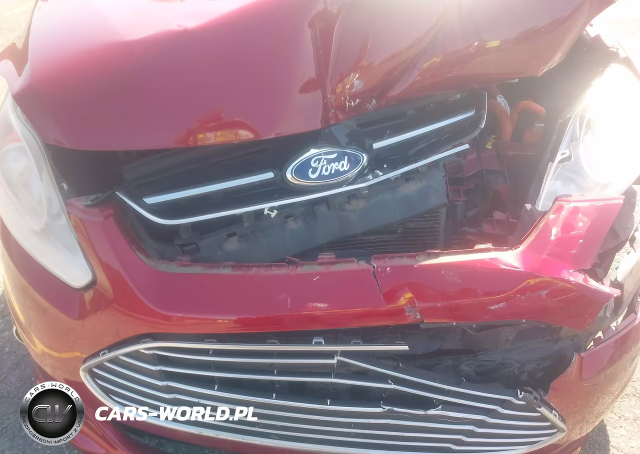 2013 Ford C-Max Energi Sel VIN:1FADP5CUXDL536599 - 10