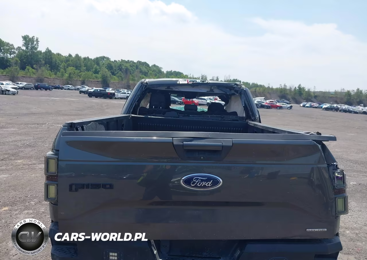 2015 Ford F-150 Xlt VIN:1FTFX1EF7FFC67246 - 13