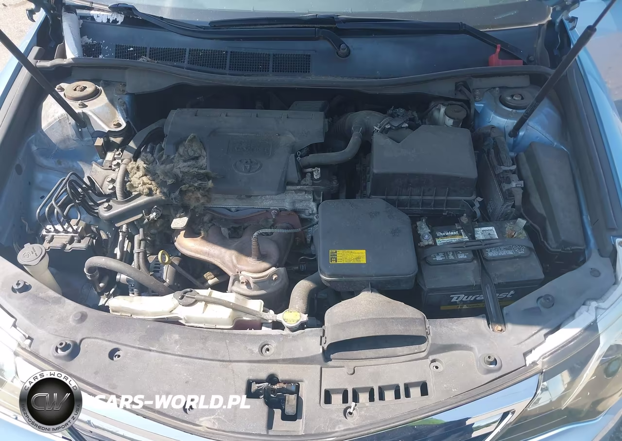 2013 Toyota Camry Xle VIN:4T4BF1FK1DR325097 - 10