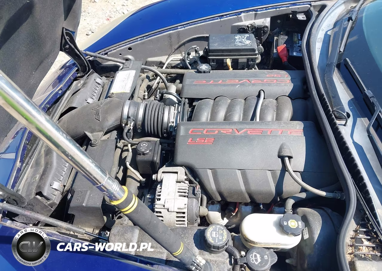 2006 Chevrolet Corvette VIN:1G1YY26U465131390 - 10